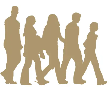 Jaartraject - Conscious Community (Connecting Gatherings)