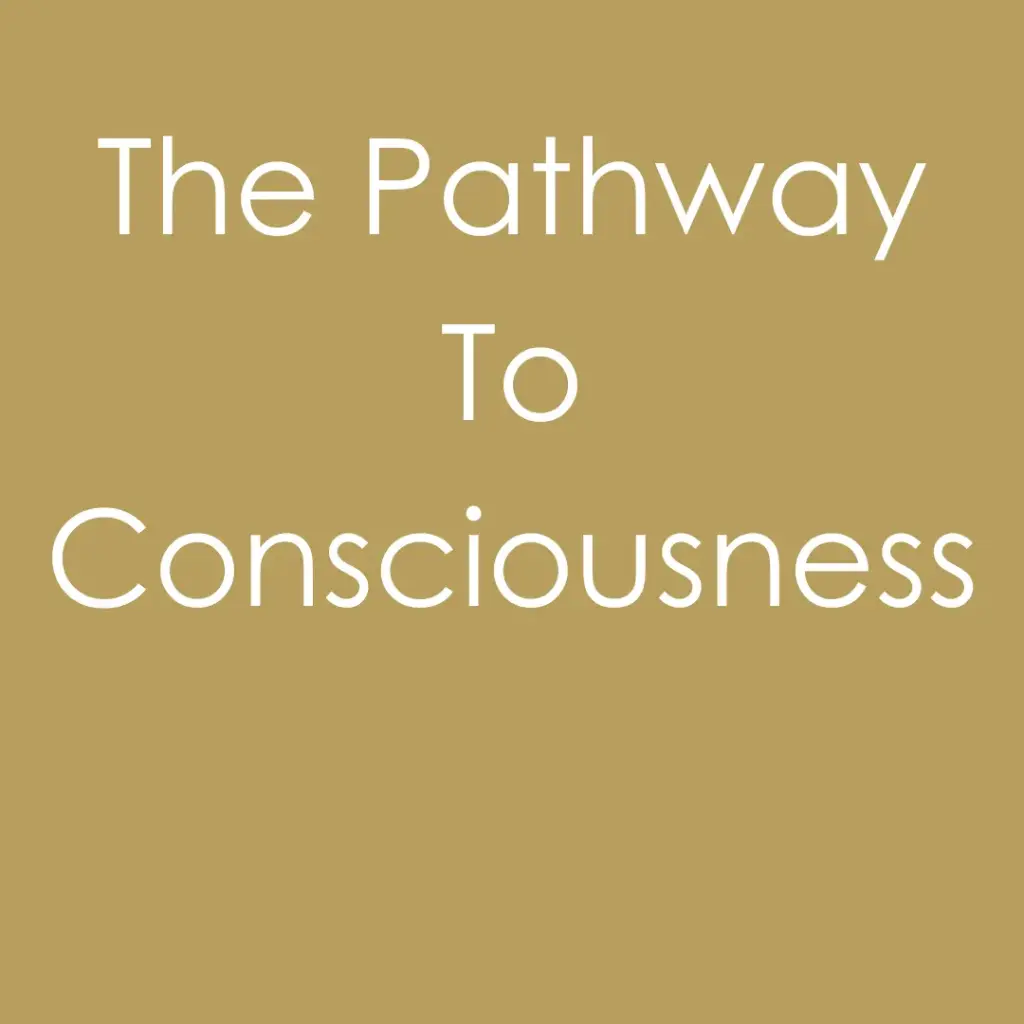 The Pathway To Consciousness - Privékamer & Badkamer [Gespreid in 2 betalingen] 