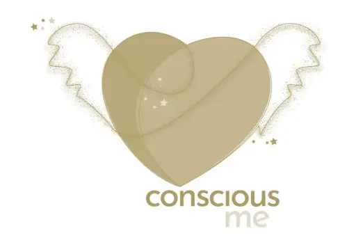 Conscious Me + 6 individuele sessies [Gespreid in 3 betalingen]
