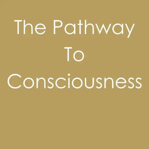 The Pathway To Consciousness - Gedeelde Kamer & Badkamer [Eenmalige betaling] 
