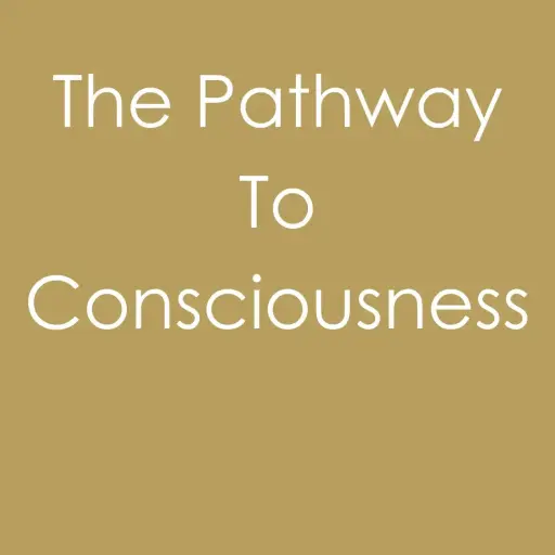 The Pathway To Consciousness - Privékamer & Badkamer [Gespreid in 2 betalingen] 